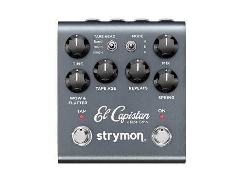 Strymon El Capistan V2 dTape Delay 5853 - фото 12401