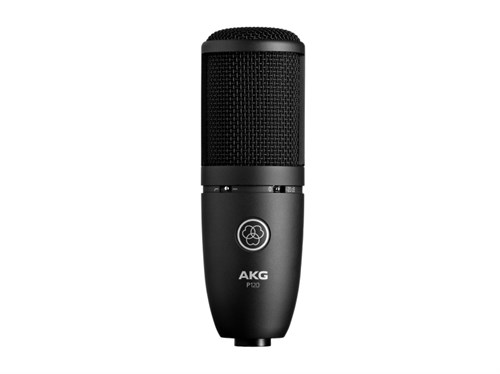 AKG P120 1806287680 - фото 18597