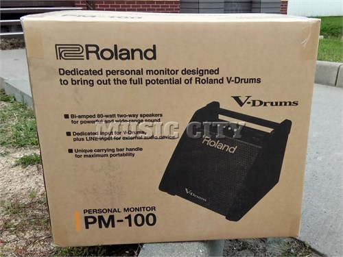 Roland PM-100 1806613846 - фото 22482