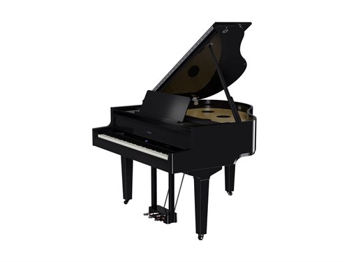 Roland GP 9 PE 9303 - фото 24806