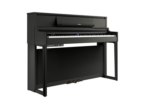 Roland LX-5-CH 8353 - фото 24838