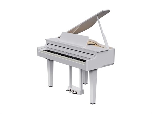 Roland GP 6 PW 9302 - фото 25565