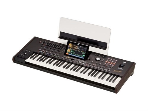 Korg PA5X 61 Oriental 9035 - фото 25981