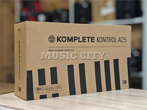 Native Instruments Komplete Kontrol A25 2629 - фото 27594