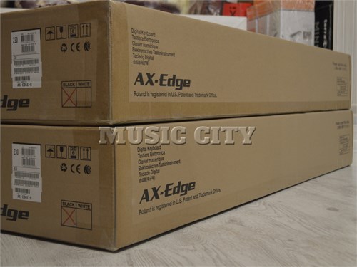 Roland AX-EDGE BK 1806191952 - фото 27711
