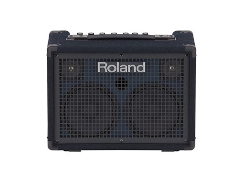 Roland KC-220 2993 - фото 27724