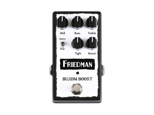 Friedman Buxom Boost
