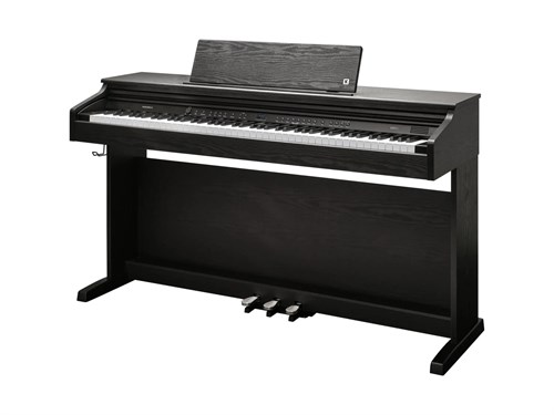 Kurzweil Cup E1 BK