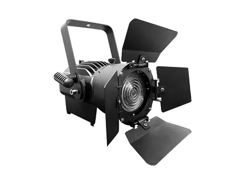 Exell Lighting EXLFR100W