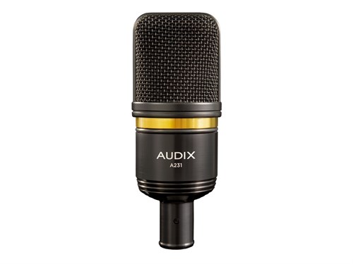 Audix A231