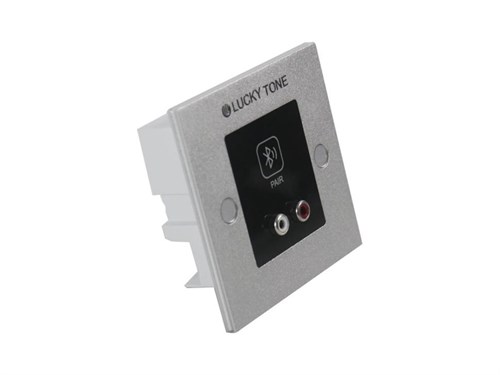 Lucky Tone Dante BW22D
