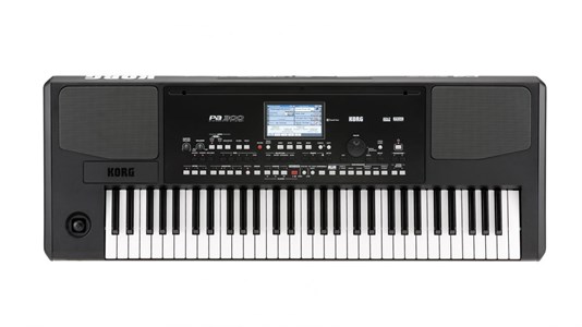 Korg PA300 2811