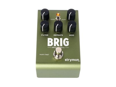 Strymon Brig Delay 8651