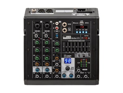 Echo Acoustic MiniStar 21FX 7964