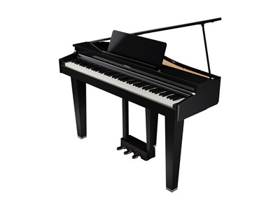 Roland GP 3 PE 9301