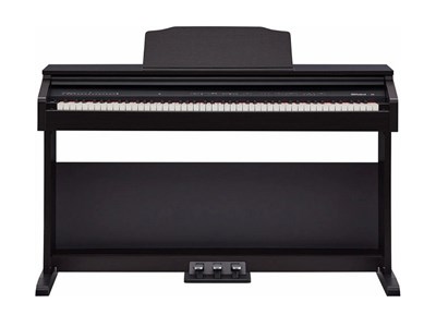 Roland RP30 6079