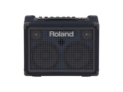 Roland KC-220 2993