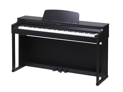 Medeli UP203 RW 6374