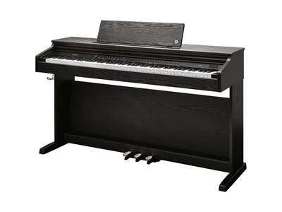 Kurzweil Cup E1 BK 10601