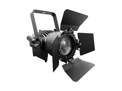 Exell Lighting EXLFR100W 10330