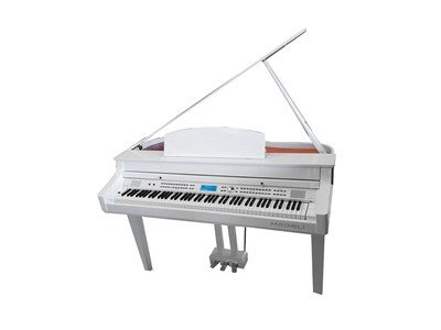 Medeli Grand 510 GW