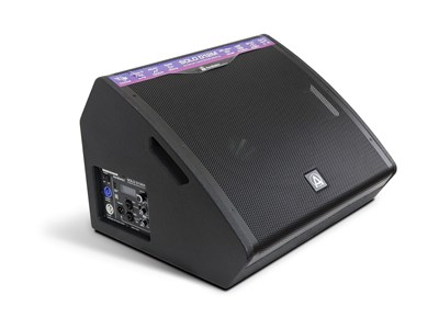 AuraSonics Solo D12M