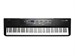 Kurzweil SP1 - фото 16170