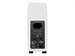 IK Multimedia iLoud Precision MTM White 7919 - фото 19594