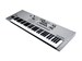 Korg Wavestate SE Platinum 7002 - фото 20737