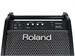 Roland PM-100 1806613846 - фото 22488