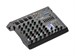 Echo Acoustic MiniStar 41FX 7965 - фото 23693