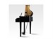 Kawai DG30 EP 8151 - фото 23920