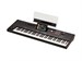 Korg PA5X 76 Oriental 9036 - фото 23939