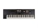 Korg PA5X 76 Oriental 9036 - фото 23940