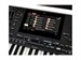 Korg PA5X 76 Oriental 9036 - фото 23945