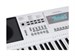 Medeli A100 WH 8822 - фото 24244