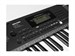 Medeli MK100 8827 - фото 24306