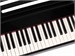 Nux NPK-10-BK 8938 - фото 24507