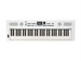 Roland GO:Keys 5 White 8249 - фото 24787