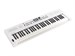 Roland GO:Keys 5 White 8249 - фото 24789