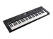 Roland GO:Keys 5 White 8249 - фото 24791