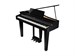 Roland GP 3 PE 9301 - фото 24796