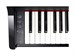 Roland GP 3 PE 9301 - фото 24799
