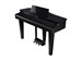 Roland GP 3 PE 9301 - фото 24803