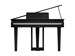 Roland GP 3 PE 9301 - фото 24804