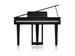Roland GP 3 PE 9301 - фото 24805
