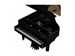 Roland GP 9 PE 9303 - фото 24808