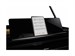 Roland GP 9 PE 9303 - фото 24810
