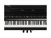 Roland GP 9 PE 9303 - фото 24814