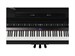 Roland GP 9 PE 9303 - фото 24815